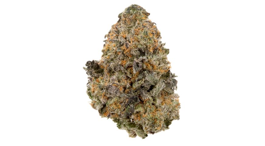 Gelato-33